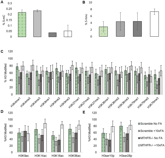 High Folic Acid Intake Could Lead to Changes in Gene Expression